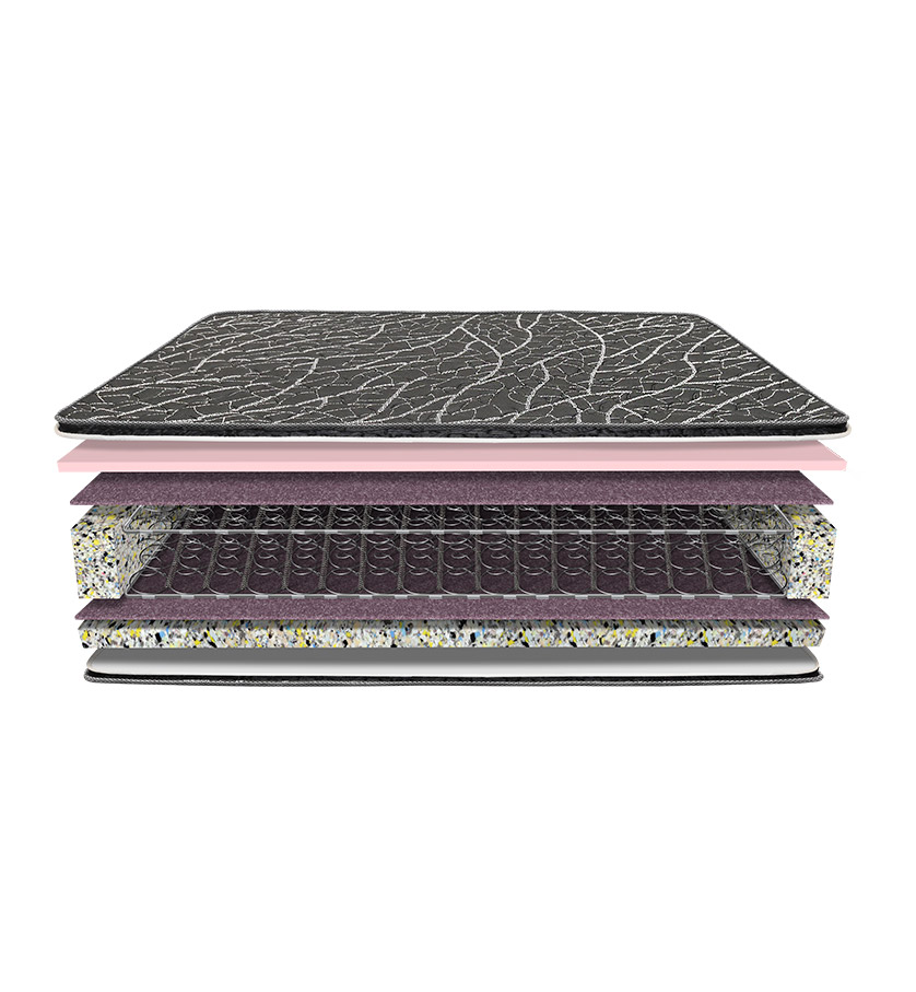 Orthobliss