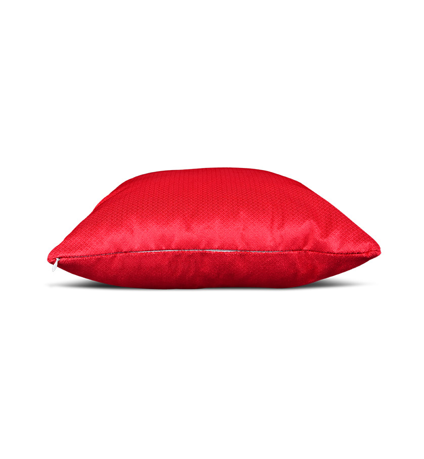 Throw Pillow Throw Pillow