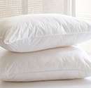 Morning Glory Fibre Pillow
